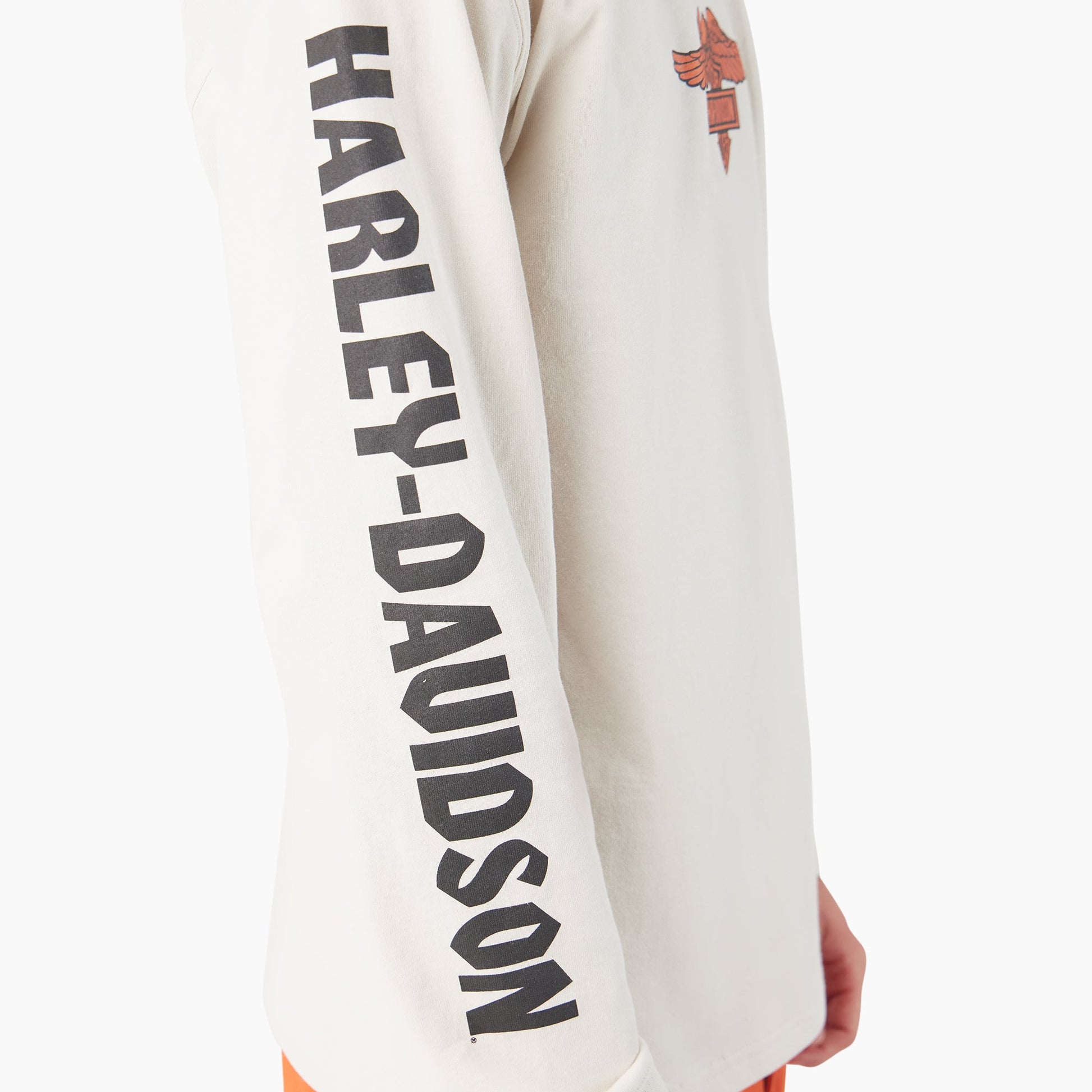 Dickies x Harley-Davidson Heavyweight Long Sleeve Eagle Tee For Men | Dickies